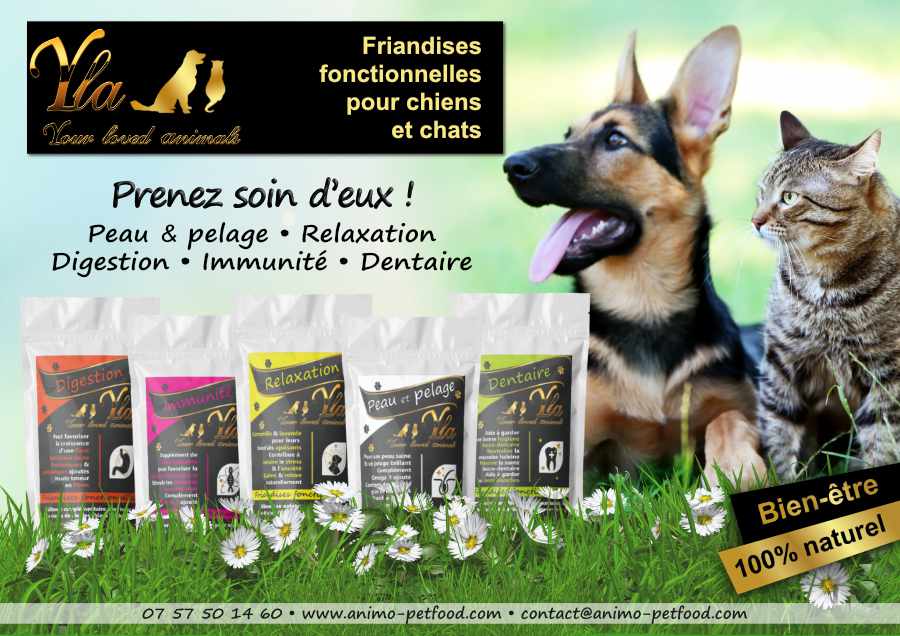 friandises-fonctionnelles-pour-chat-et-chaton-peau-pelage-digestion-relaxation-immunite-dentaire